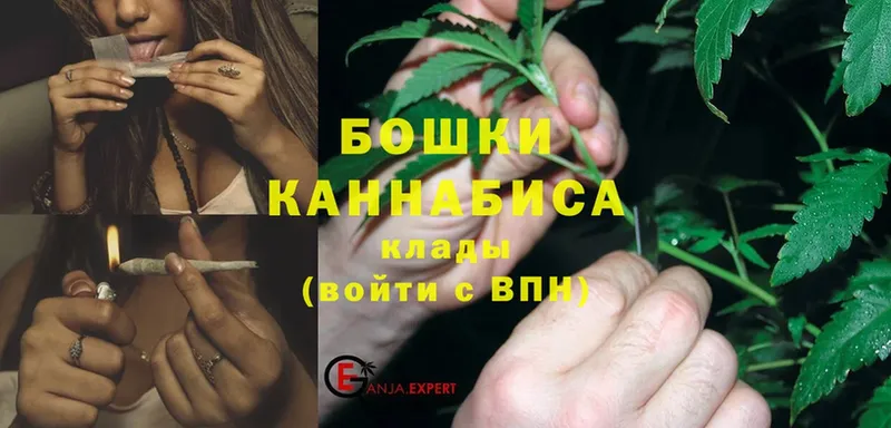 наркота  Славянск-на-Кубани  Марихуана OG Kush 